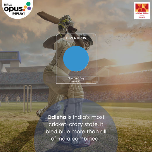 Color Replay | Birla Opus