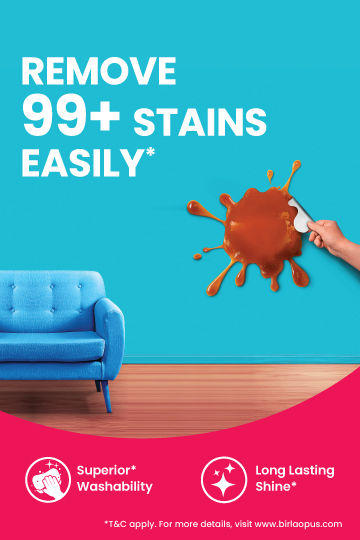 Interior Paints: Birla Opus 