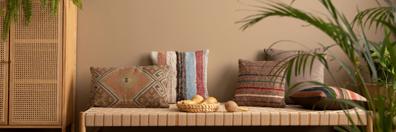 Paint Products: Home Paint | Birla Opus