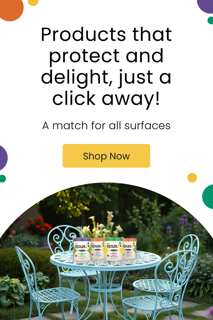 Enamel Paints Collection | Birla Opus