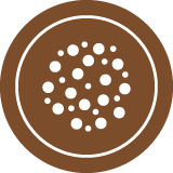 Excellent Grain Filling