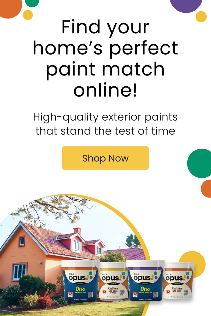 Exterior Products - Aditya Birla Paints