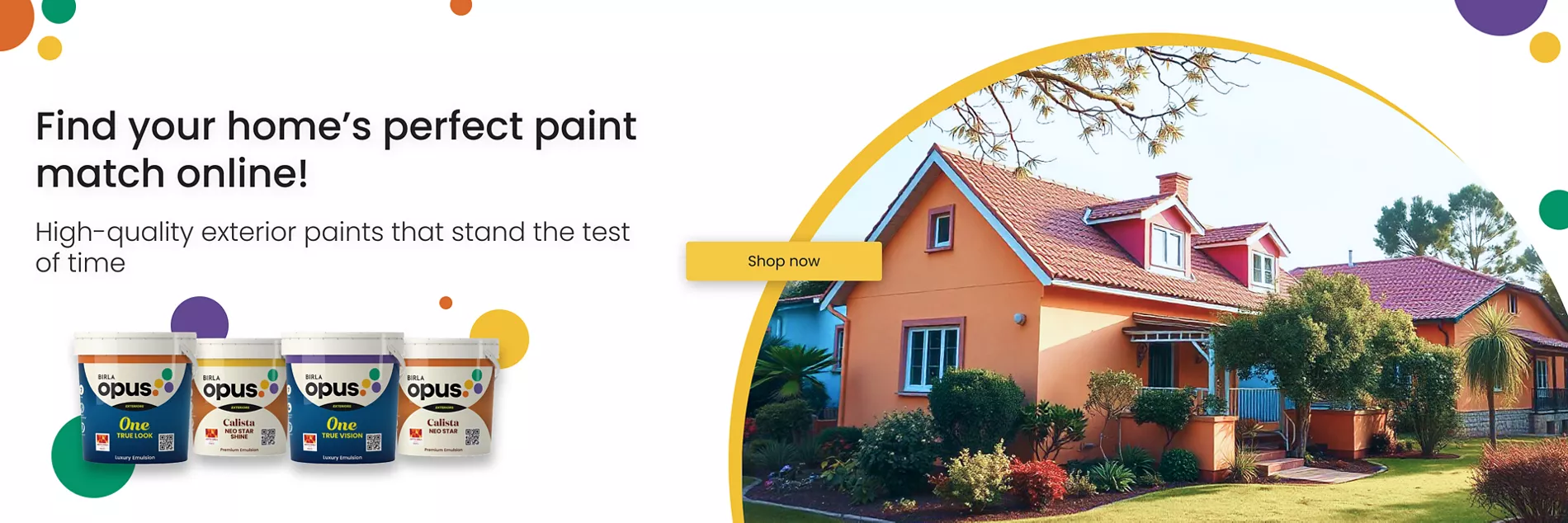 Exterior Products - Aditya Birla Paints