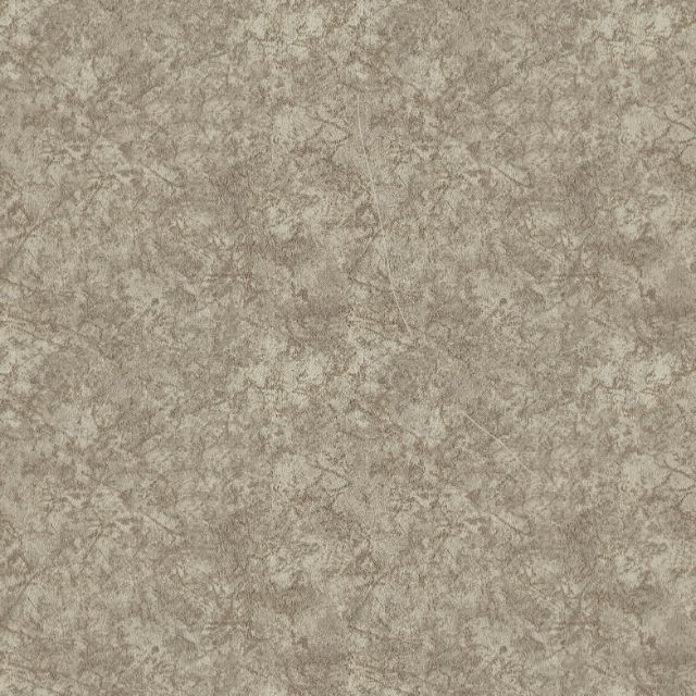 Other Images