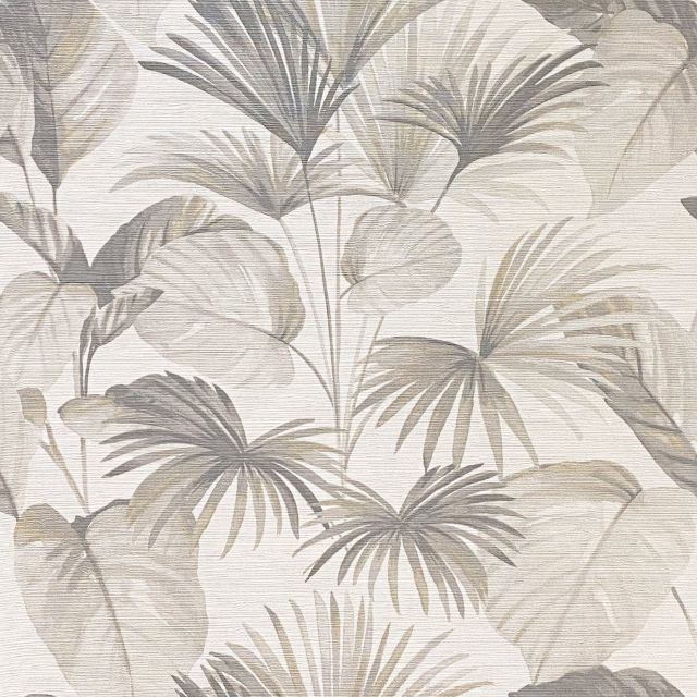 Other Images