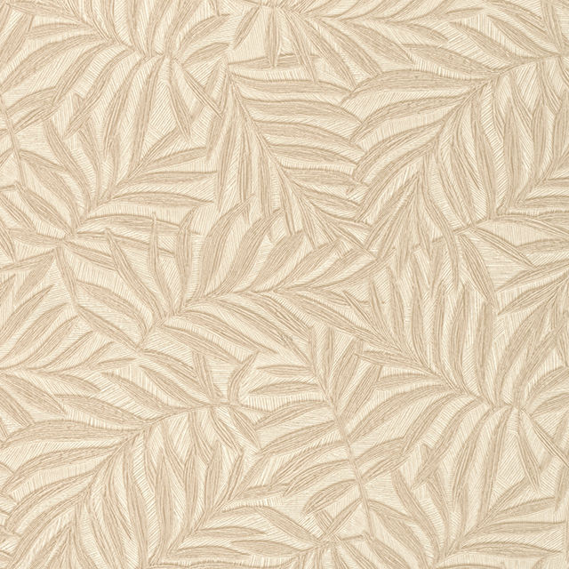 Other Images