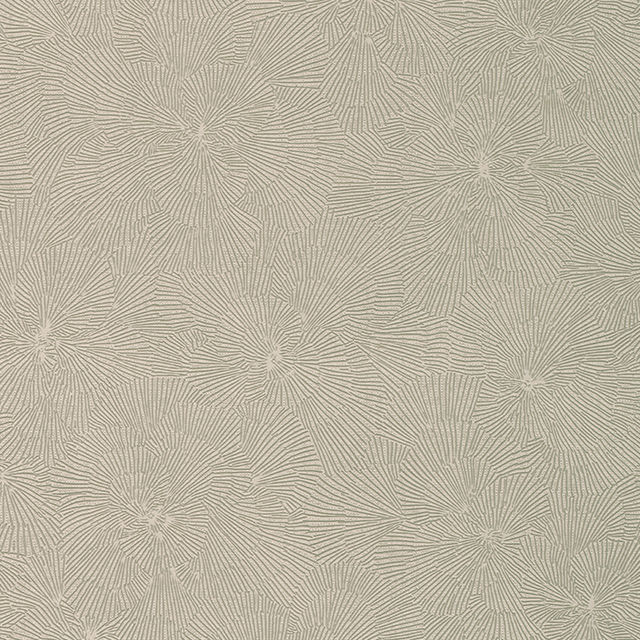 Other Images