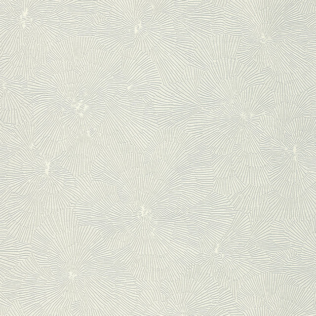 Other Images