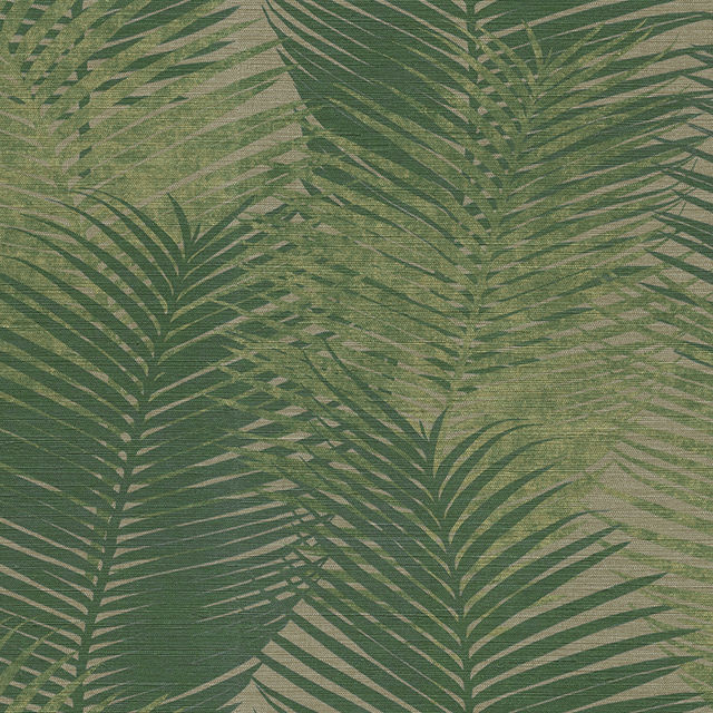 Other Images