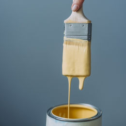 Home Paint Products: House Painting | Birla Opus