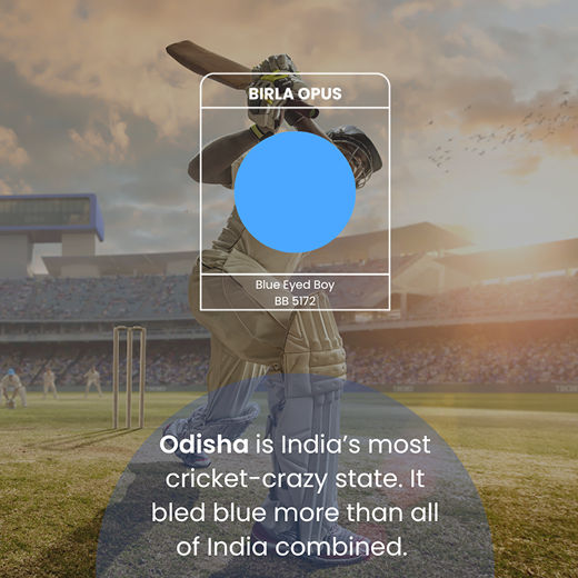 Interior Paints: Interior House Paint | Birla Opus