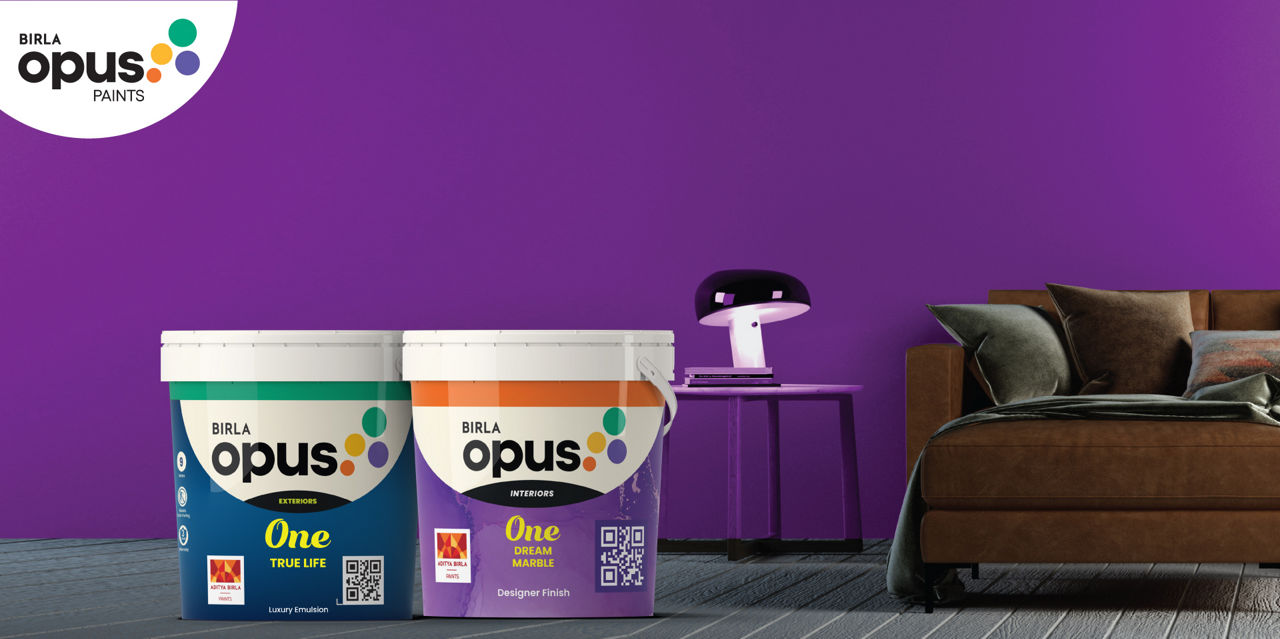 One Interior & Exterior Paint | Birla Opus 