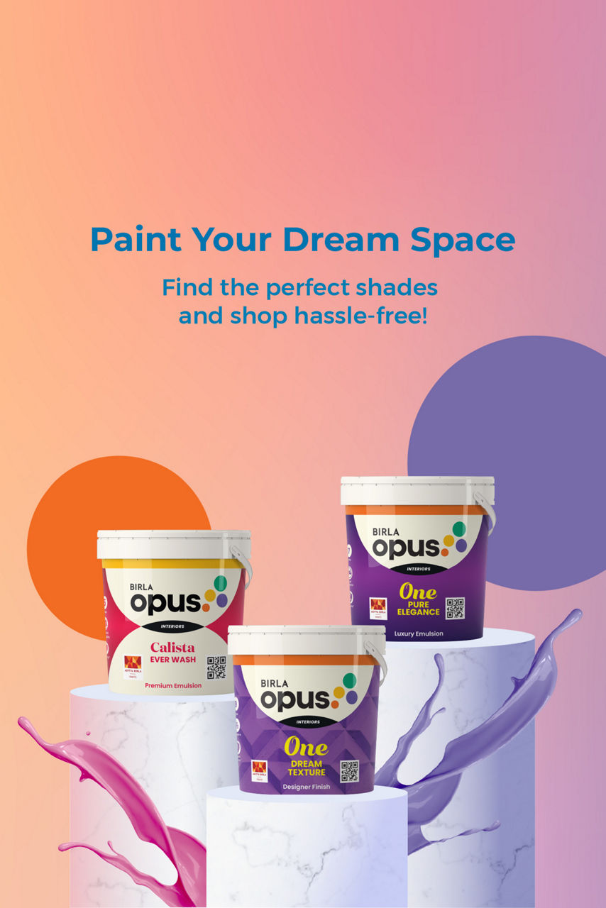 Shop Paint | Birla Opus