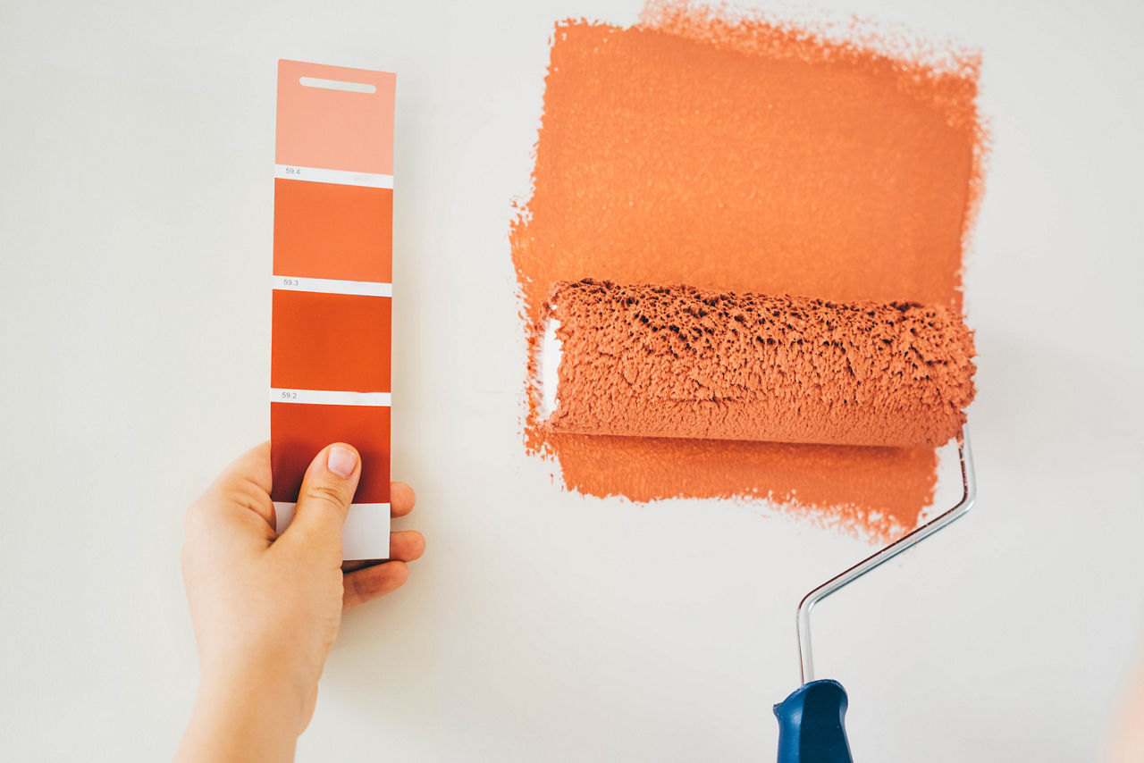 woman painting wall. close up hand with paint roller and color swatch. Repair and house renovation concept.