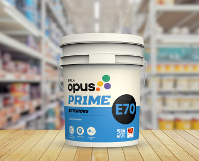 E70 Exterior Paint: Birla Opus Prime