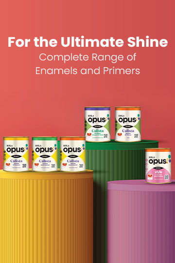 Range of Enamel and Primer Paint:  Birla Opus 