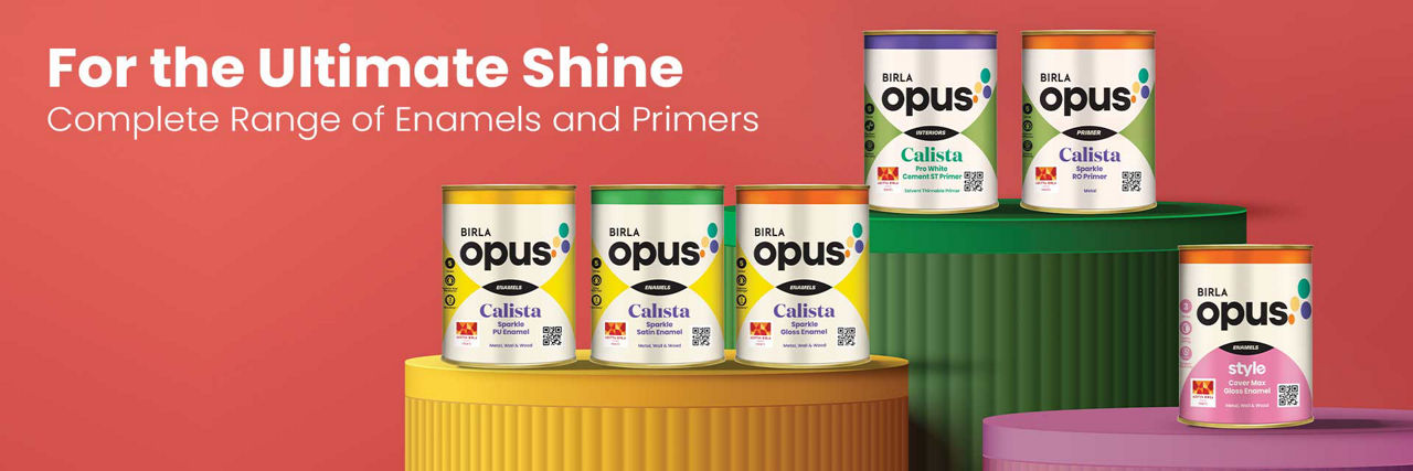 Range of Enamel and Primer Paint:  Birla Opus 