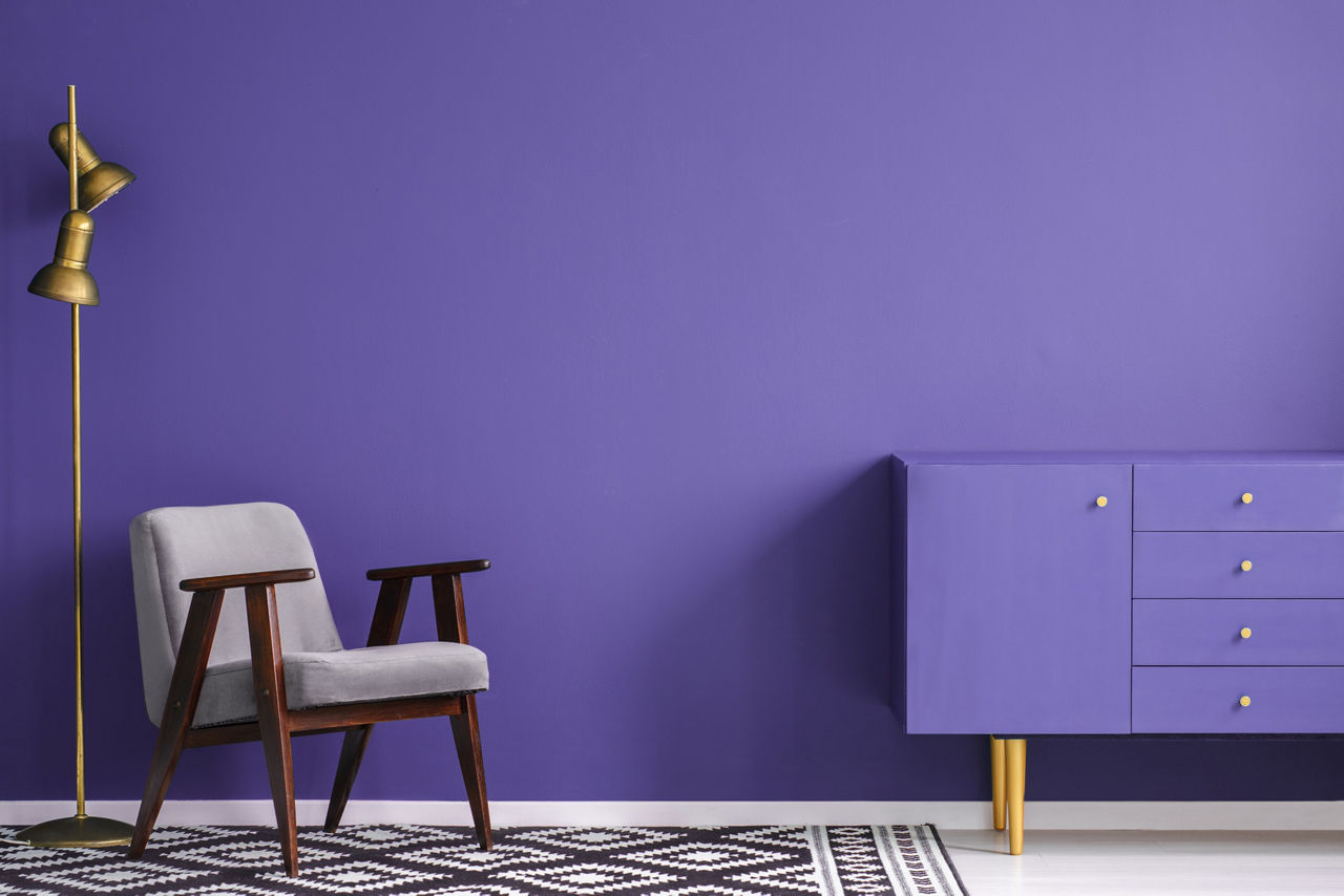 Purple Wall Paint: Surprise Carpets | Birla Opus