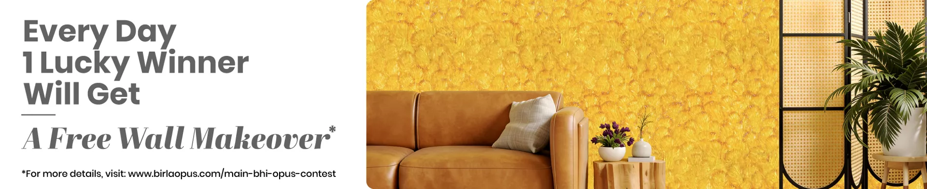 Birla Opus | Paintcraft painting services