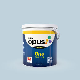 Shop: Home & Office Paint Products | Birla Opus