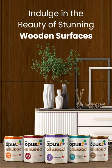 Wood Finishes - Aditya Birla Paints