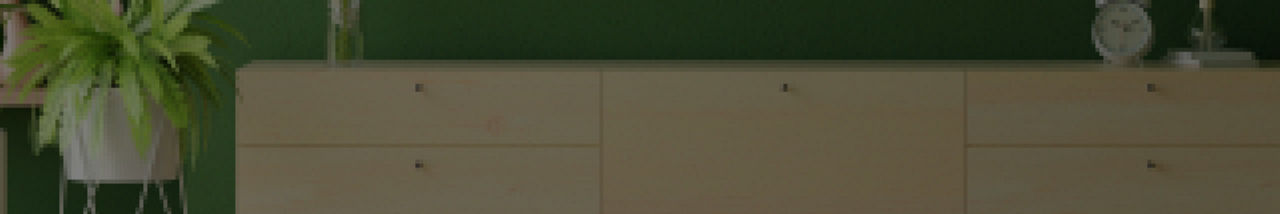 Paints Banner